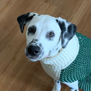 Meet your Posher, Noah